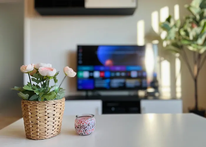 Stariva - Terrasse Ueber - Kaffeemachine - Netflix - Brettspiele * Дрезден