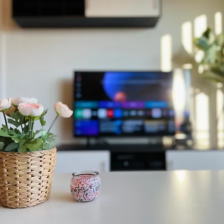 Stariva - Terrasse Ueber - Kaffeemachine - Netflix - Brettspiele * Dresden